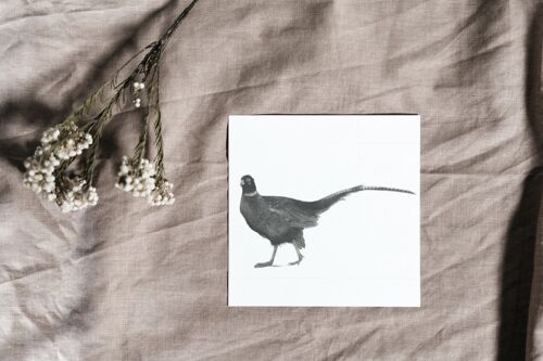 Cetus the Pheasant Luxury Greeting Card and Embossed Envelope - Single Card