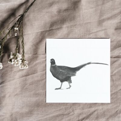 Cetus the Pheasant Luxury Greeting Card and Embossed Envelope - Single Card