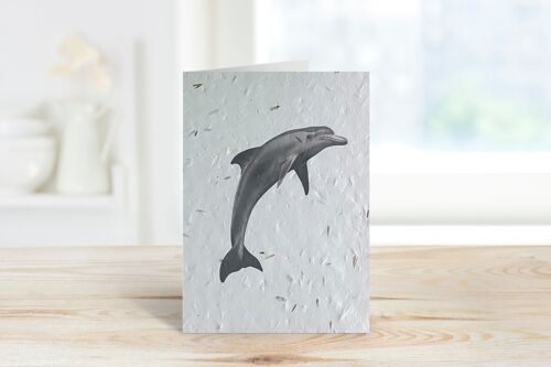 Aries the Dolphin Plantable Seeded Eco Greeting Card