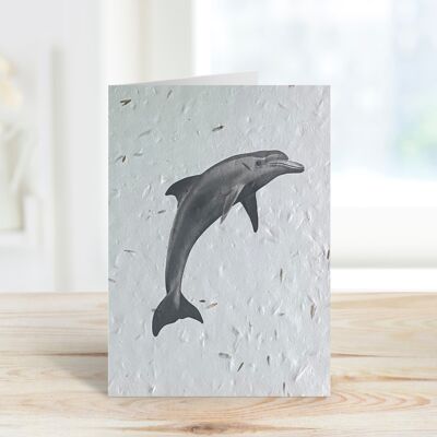 Aries the Dolphin Plantable Seeded Eco Greeting Card