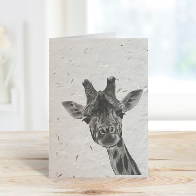 Maya the Giraffe Seeded Plantable Blank Eco Greeting Card