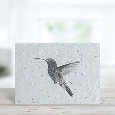 Plantable Hummingbird Seeded Plantable Eco Blank Greeting Card