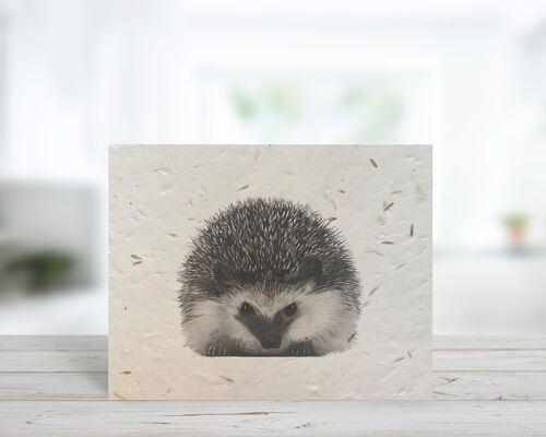 Persei the Hedgehog Plantable Seeded Blank Eco Greeting Card