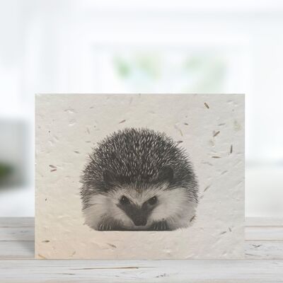 Biglietto di auguri ecologico bianco semi piantabile Persei the Hedgehog