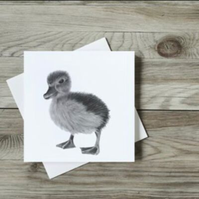 Naos the Duckling Greeting Card - Single Set