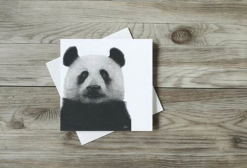 Cepheus the Panda Greeting Card - Single Card
