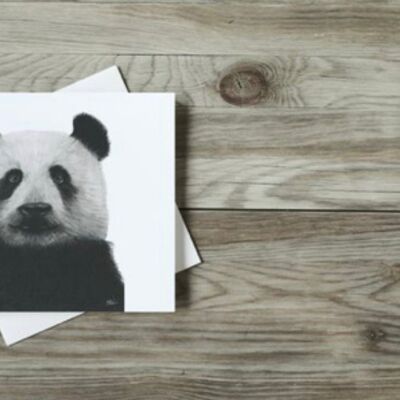 Cepheus the Panda Greeting Card - Single Card