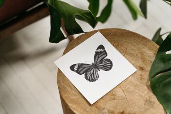 Carte de voeux Antila le papillon - Carte unique 4