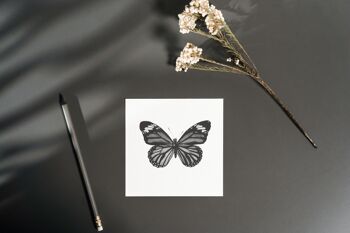 Carte de voeux Antila le papillon - Carte unique 5