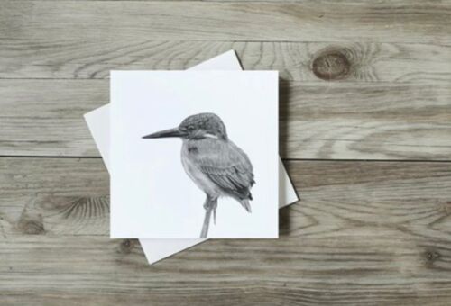 Delpheus the Kingfisher Greeting Card - Single Card