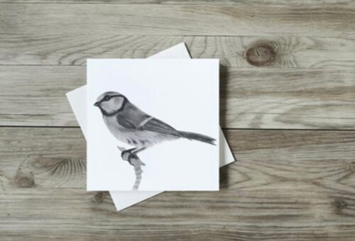 Electra the Bluetit Greeting Card - Single Card