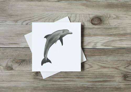 Aries theDolphin Greeting Card - Single Card