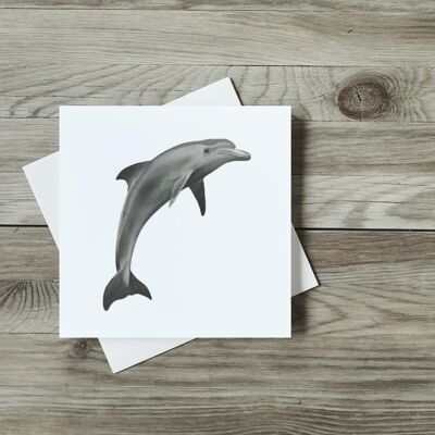 Aries theDolphin Greeting Card - Single Card