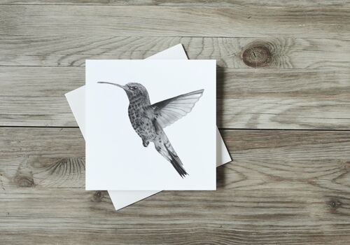 Adhara the Hummingbird Greeting Card - Single Card