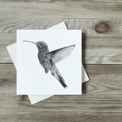 Biglietto di auguri Adhara il colibrì - Biglietto singolo