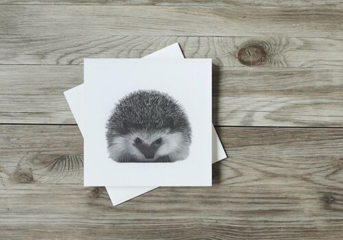 Persei the Hedgehog Greeting Card - Single Card