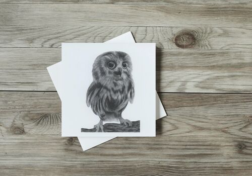 Talitha the Baby Owl Greeting Card - Single Card