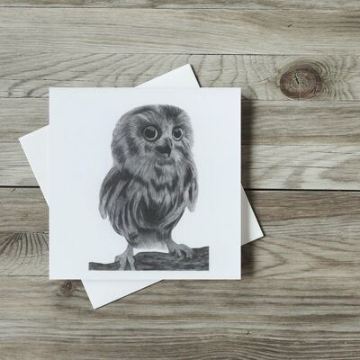 Talitha the Baby Owl Greeting Card - Single Card