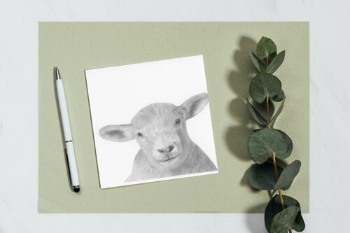 Bootes The Lamb Greeting Card - Single Card