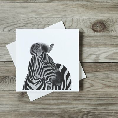 Capella the Zebra Greeting Card - Single Card