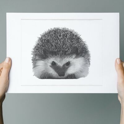 Persei the Hedgehog Fine Art Print - Wall Decor - Hand Drawn - Giclée Print Mounted