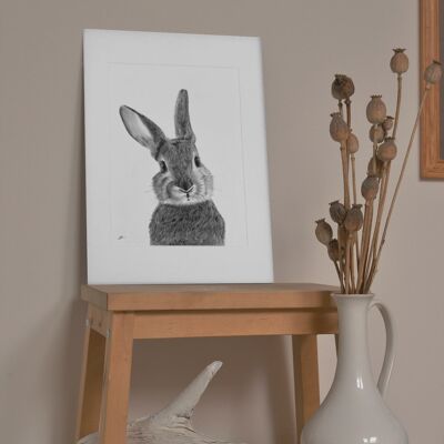 Bellatrix the Bunny Fine Art Print – Wall Decor – Hand Drawn – Giclée Mounted Print