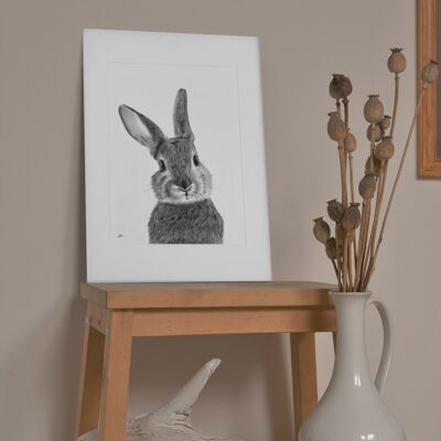 Bellatrix le lapin Fine Art Print - Wall Decor - Hand Drawn - Giclée Mounted Print