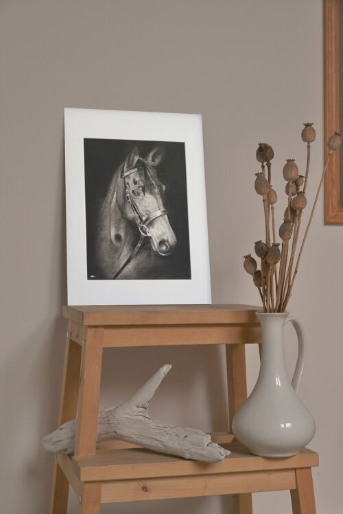 Horse Hand Drawn Print - Giclée Mounted Print