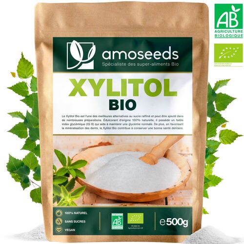 Xylitol en Poudre Bio 500G