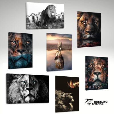 Starterpaket - Wandbild-Set "Die Welt der Löwen"