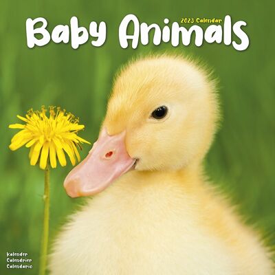 Calendario 2023 Animales bebés