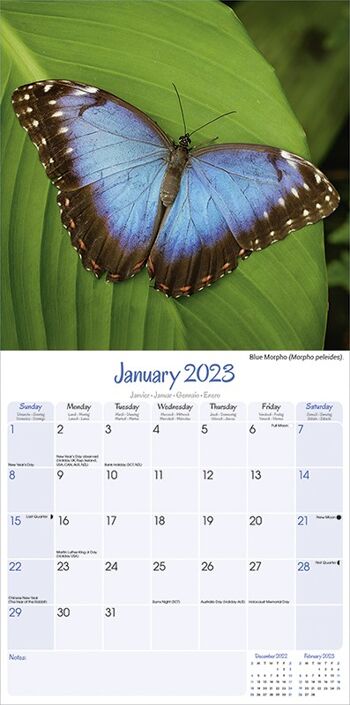 Calendrier 2023 Papillon 2