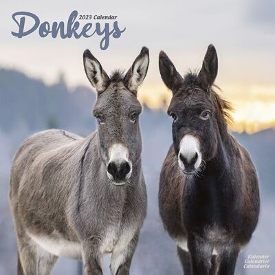 Calendar 2023 Donkey