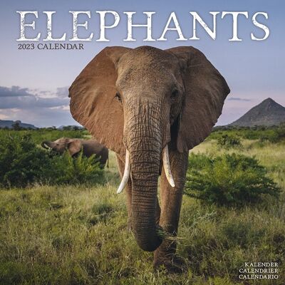Calendario 2023 Elefante