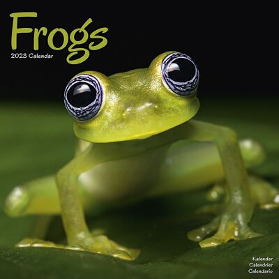Calendar 2023 Frog