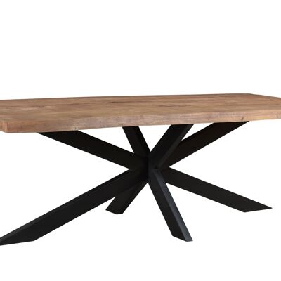 Seccy Eettafel Mangohout 100x220x76cm