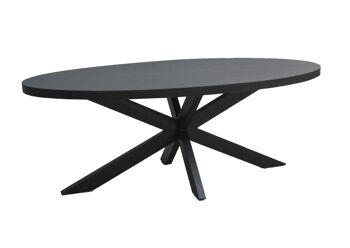 Cornaiano Table à manger en bois de manguier 100x210x78cm 1