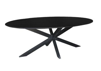 Rosolina Table à manger Acasia 100x210x78cm 2