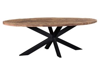 Mandela Table à manger Riverwood 110x240x76cm