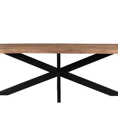 Erchie Eettafel Mangohout 90x180x76cm