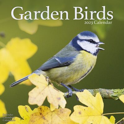 Kalender 2023 Gartenvögel