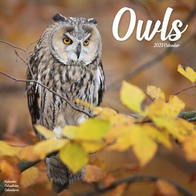 Calendar 2023 Owl