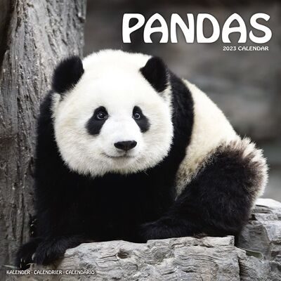 Calendario 2023 Panda