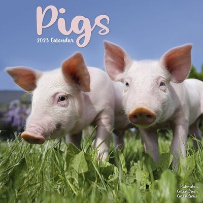Calendar 2023 Pig