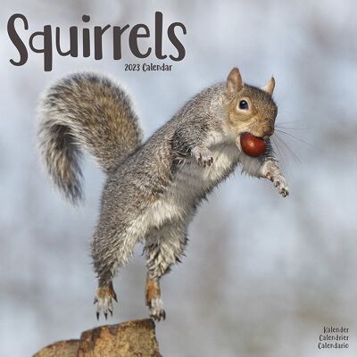 Calendar 2023 Squirrel