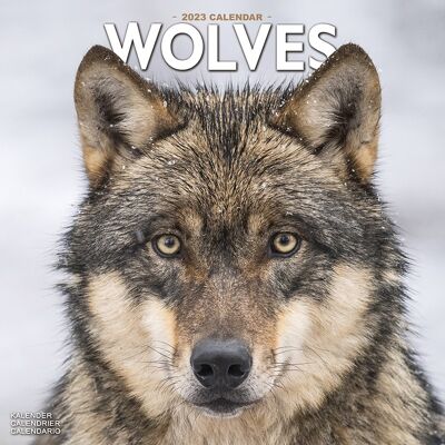Kalender 2023 Wolf