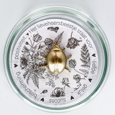 Glazen schaaltje met gouden Lieveheersbeestje - Taupe