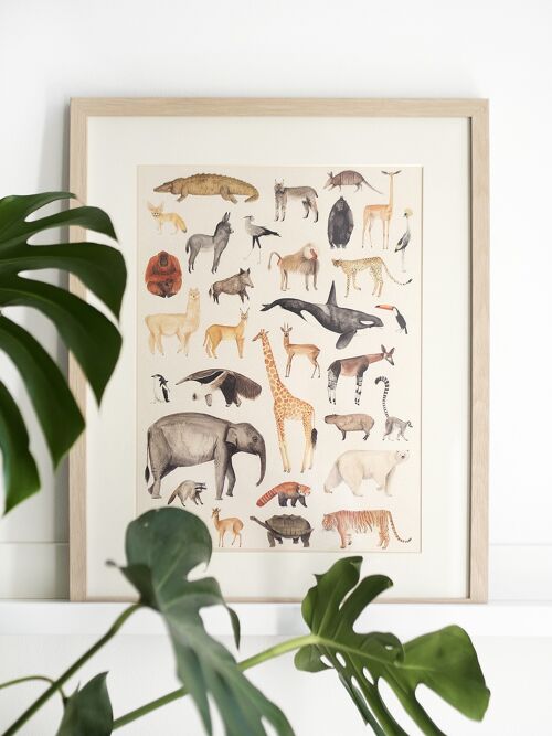 Animal Poster on recycled paper in A3 size (limited edition)