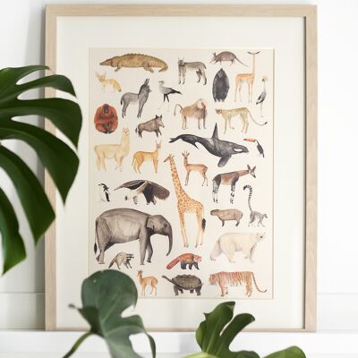 Animal Poster on recycled paper in A3 size (limited edition)