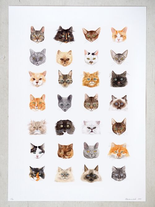 Cat Poster in A2 size (limited edition)